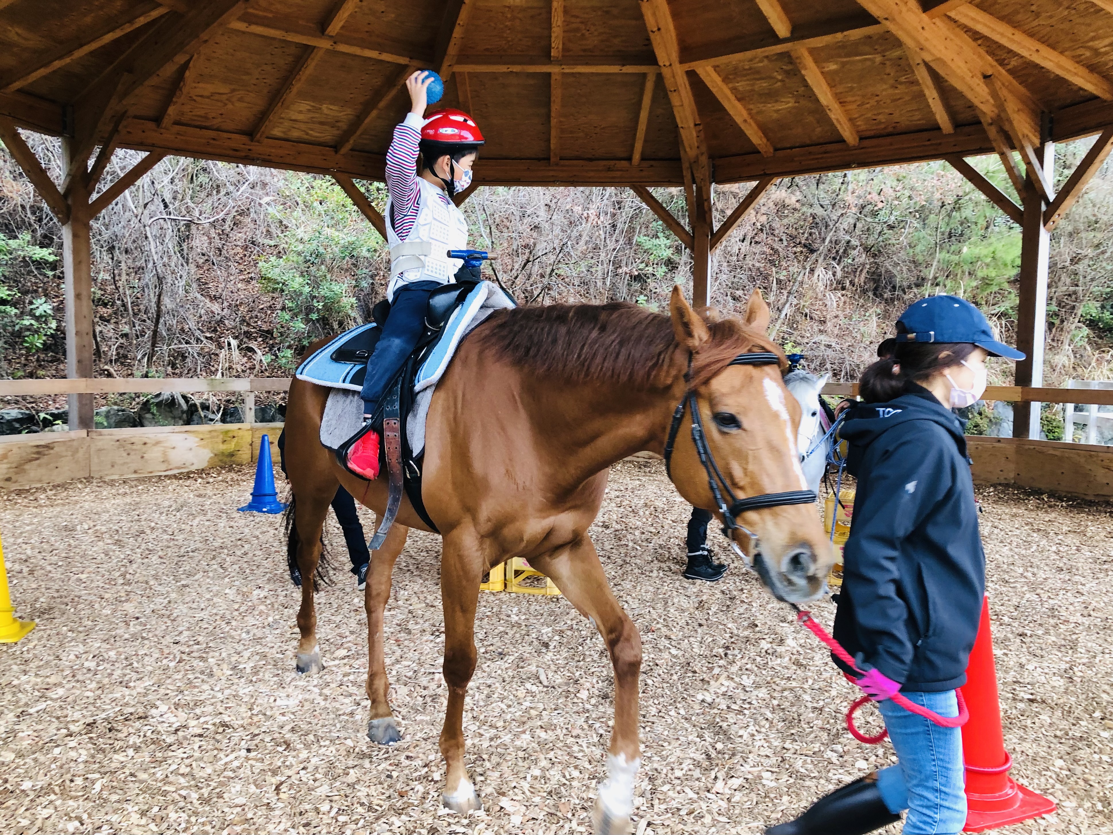 セカンドキャリア　引退競走馬をめぐる旅