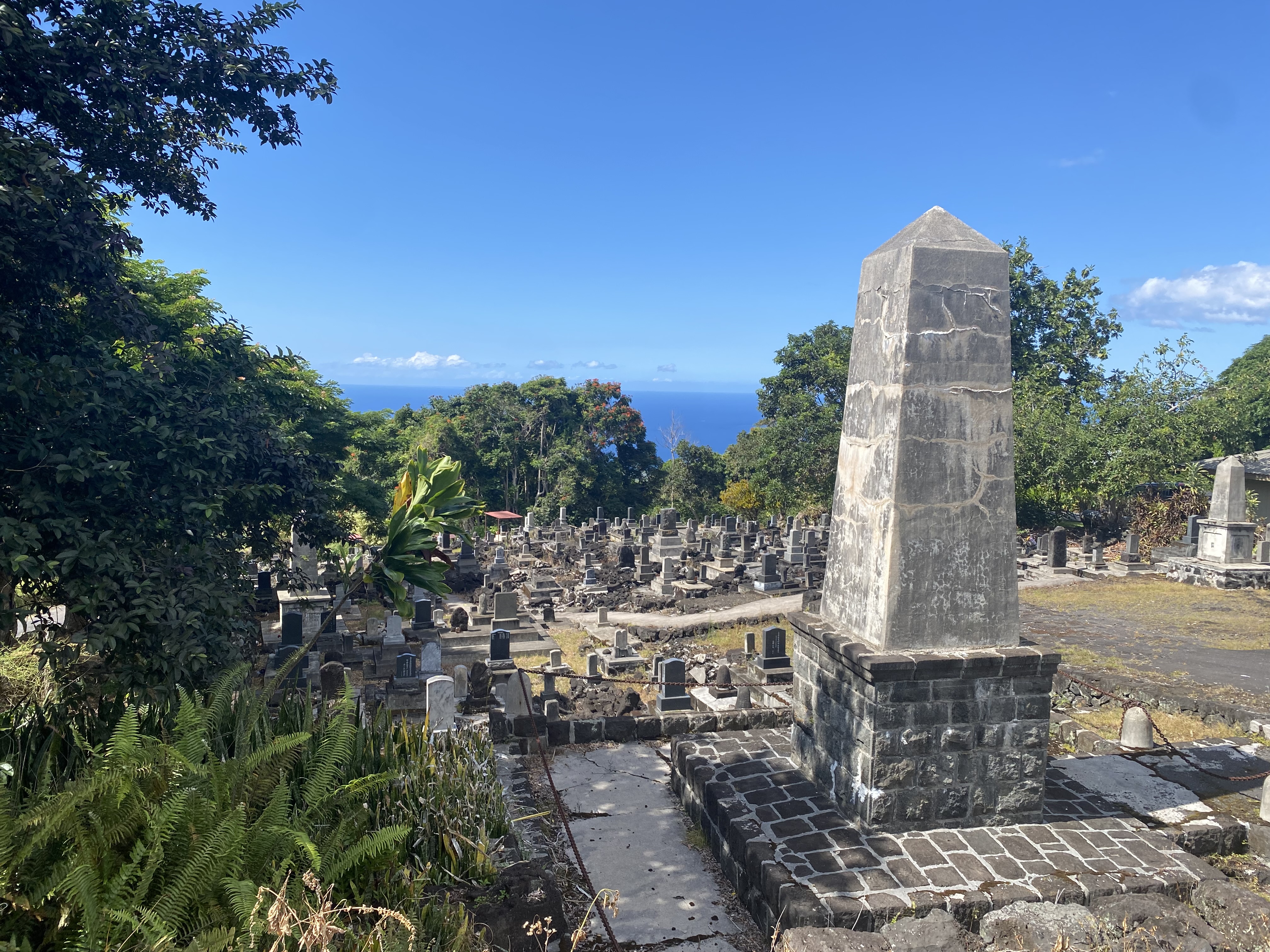 篠田節子エッセイ