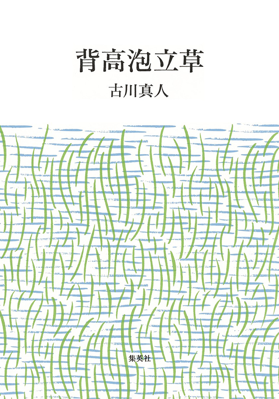 背高泡立草