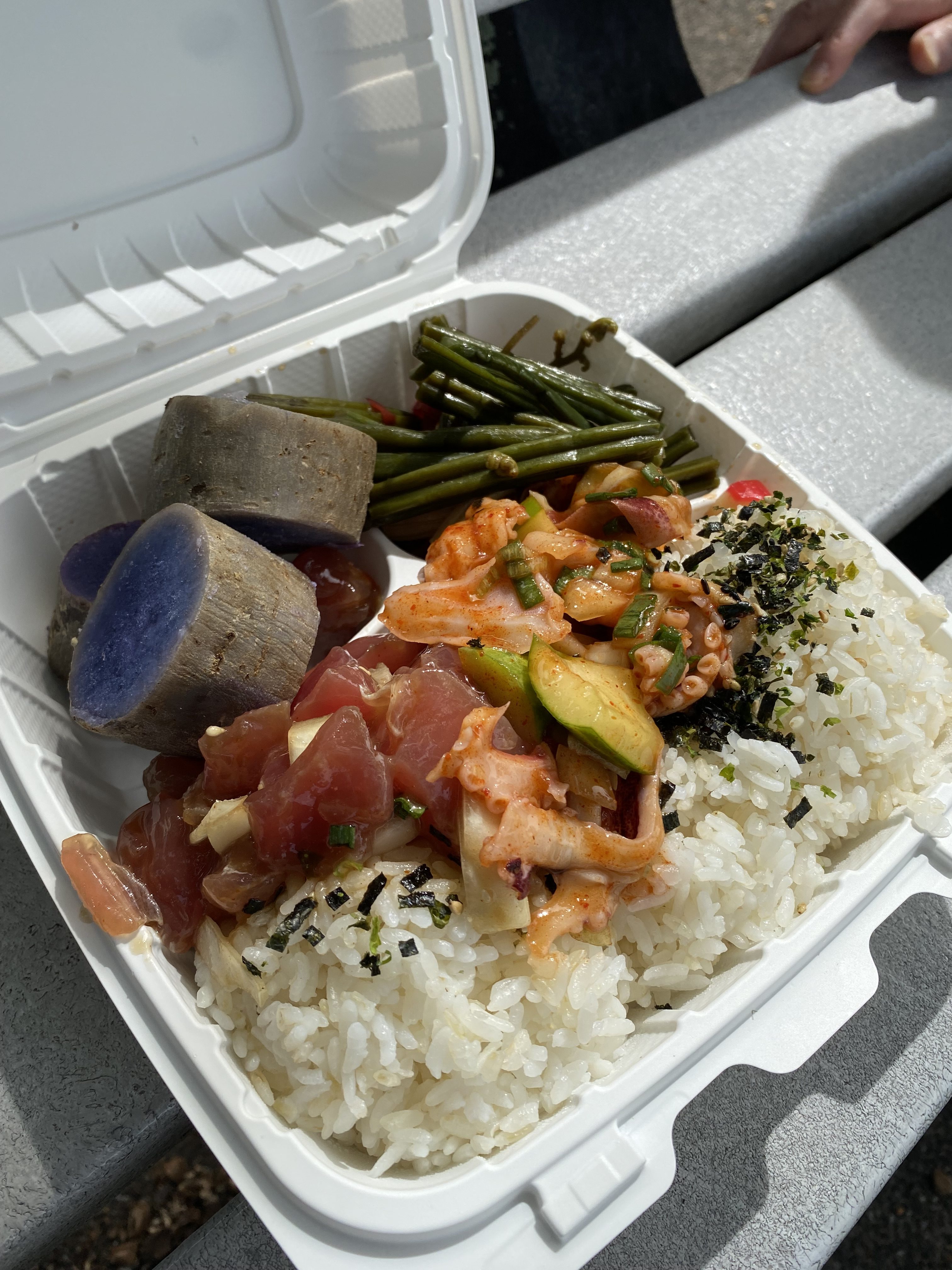 篠田節子エッセイ