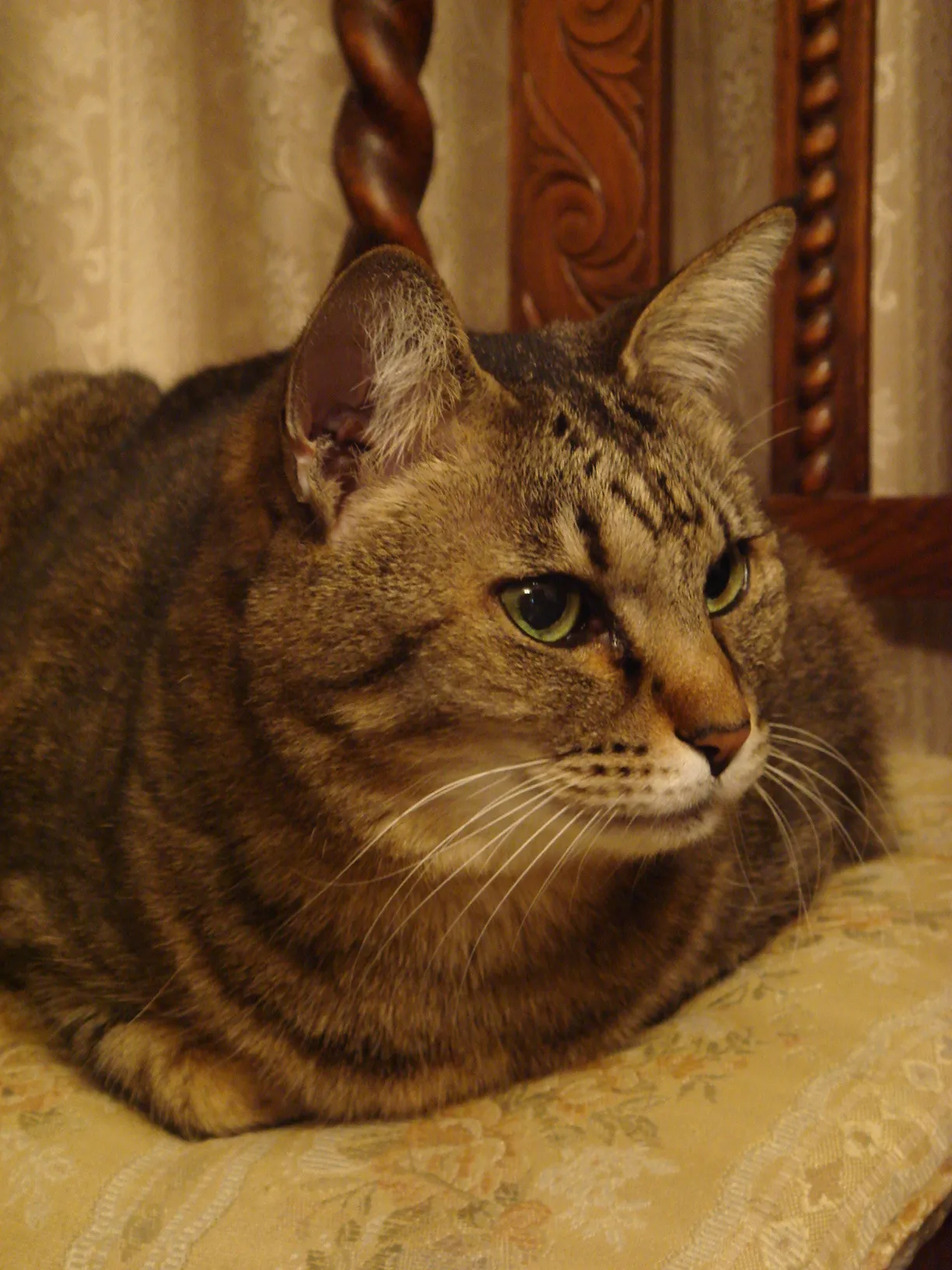 小川哲×赤川学