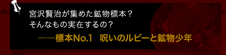 宮沢賢治が集めた鉱物標本？そんなもの実在するの？――標本No.1  呪いのルビーと鉱物少年