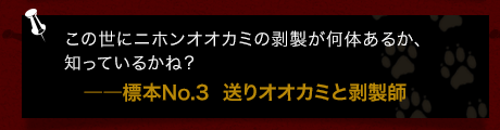 この世にニホンオオカミの剥製が何体あるか、知っているかね？――標本No.3  送りオオカミと剥製師