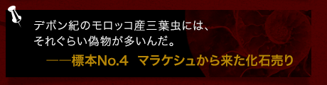 デボン紀のモロッコ産三葉虫には、それぐらい偽物が多いんだ。――標本No.4  マラケシュから来た化石売り