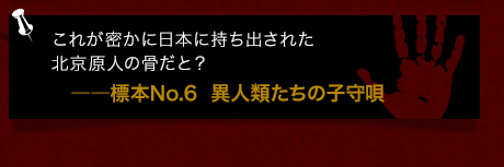 これが密かに日本に持ち出された北京原人の骨だと？――標本No.6  異人類たちの子守唄