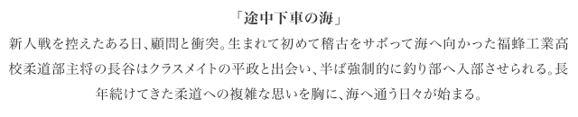 途中下車の海