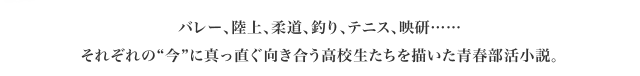 バレー、陸上、柔道、釣り、テニス、映研……それぞれの“今”に真っ直ぐ向き合う高校生たちを描いた青春部活小説。