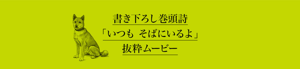 書き下ろし巻頭詩「いつも そばにいるよ」抜粋ムービー