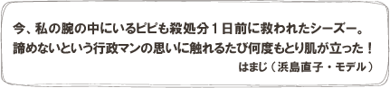 今、私の腕の中にいるピピも殺処分1日前に救われたシーズー。諦めないという行政マンの思いに触れるたび何度もとり肌が立った！はまじ （浜島直子・モデル）　
